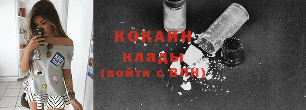 гашик Костерёво