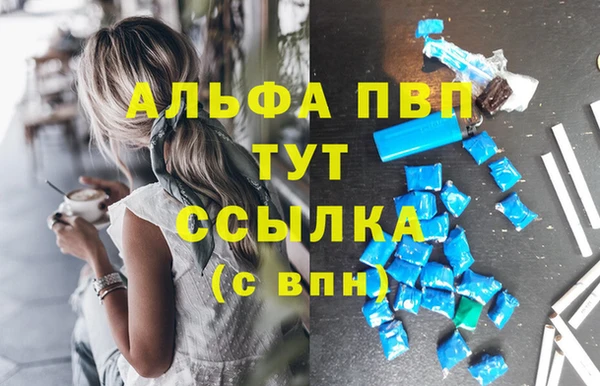 гашик Костерёво