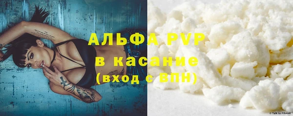 гашик Костерёво