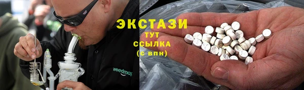 гашик Костерёво