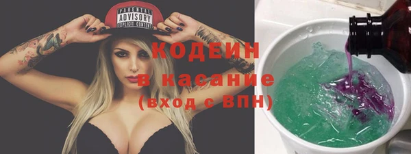 гашик Костерёво